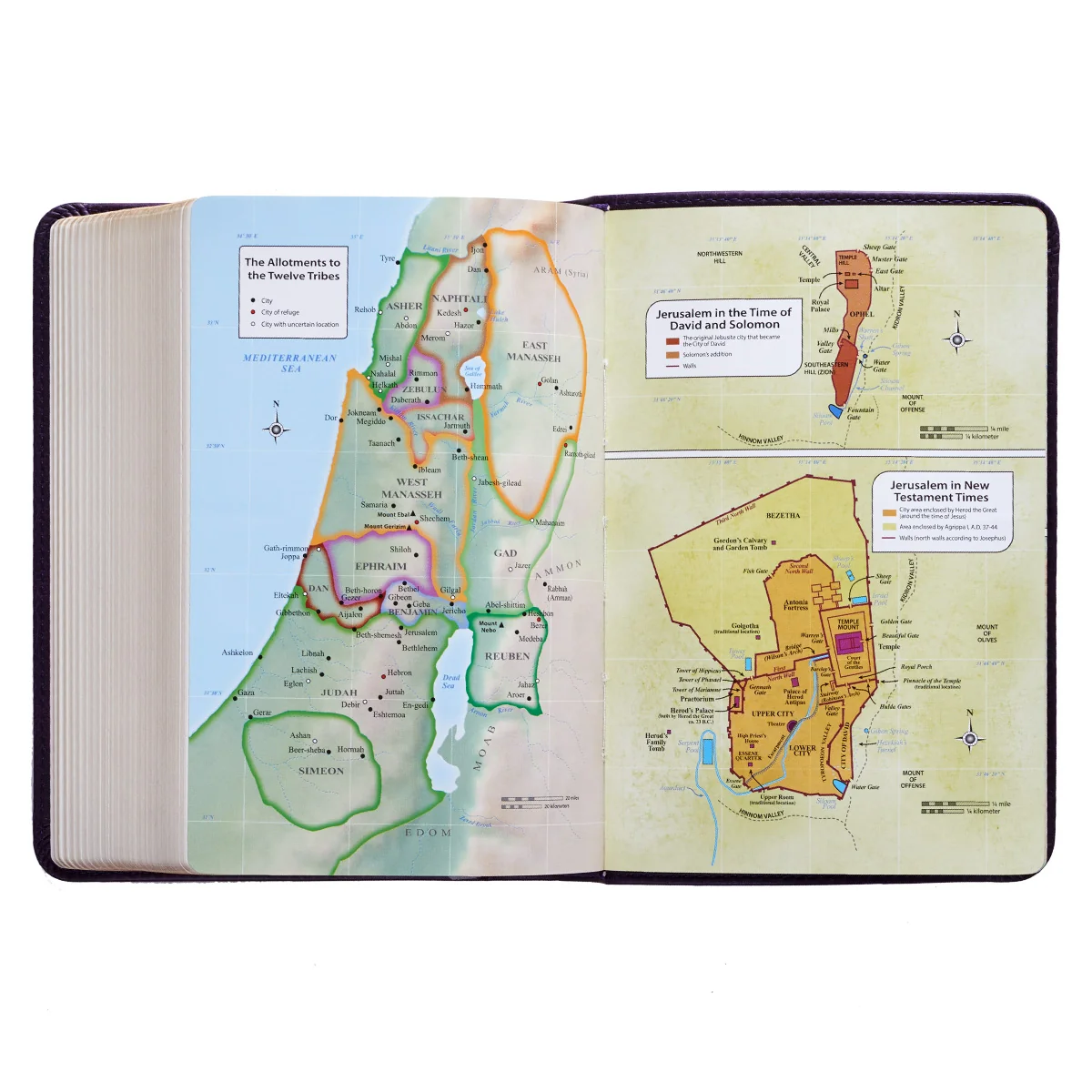 KJV Purple Faux Leather Compact Bible Large Print Red Letter - Image 5