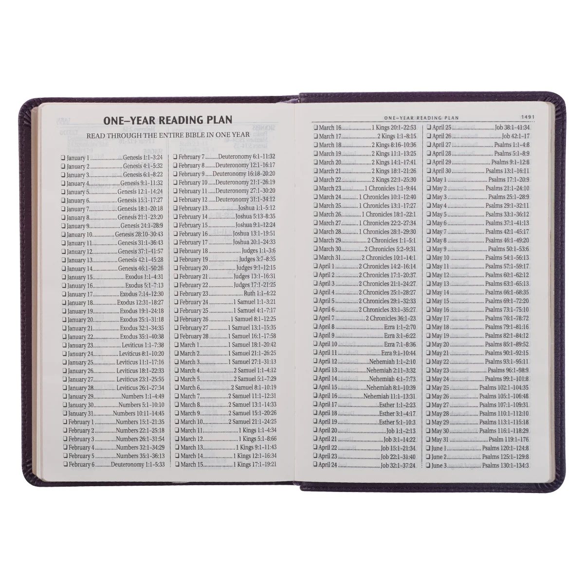 KJV Purple Faux Leather Compact Bible Large Print Red Letter - Image 7