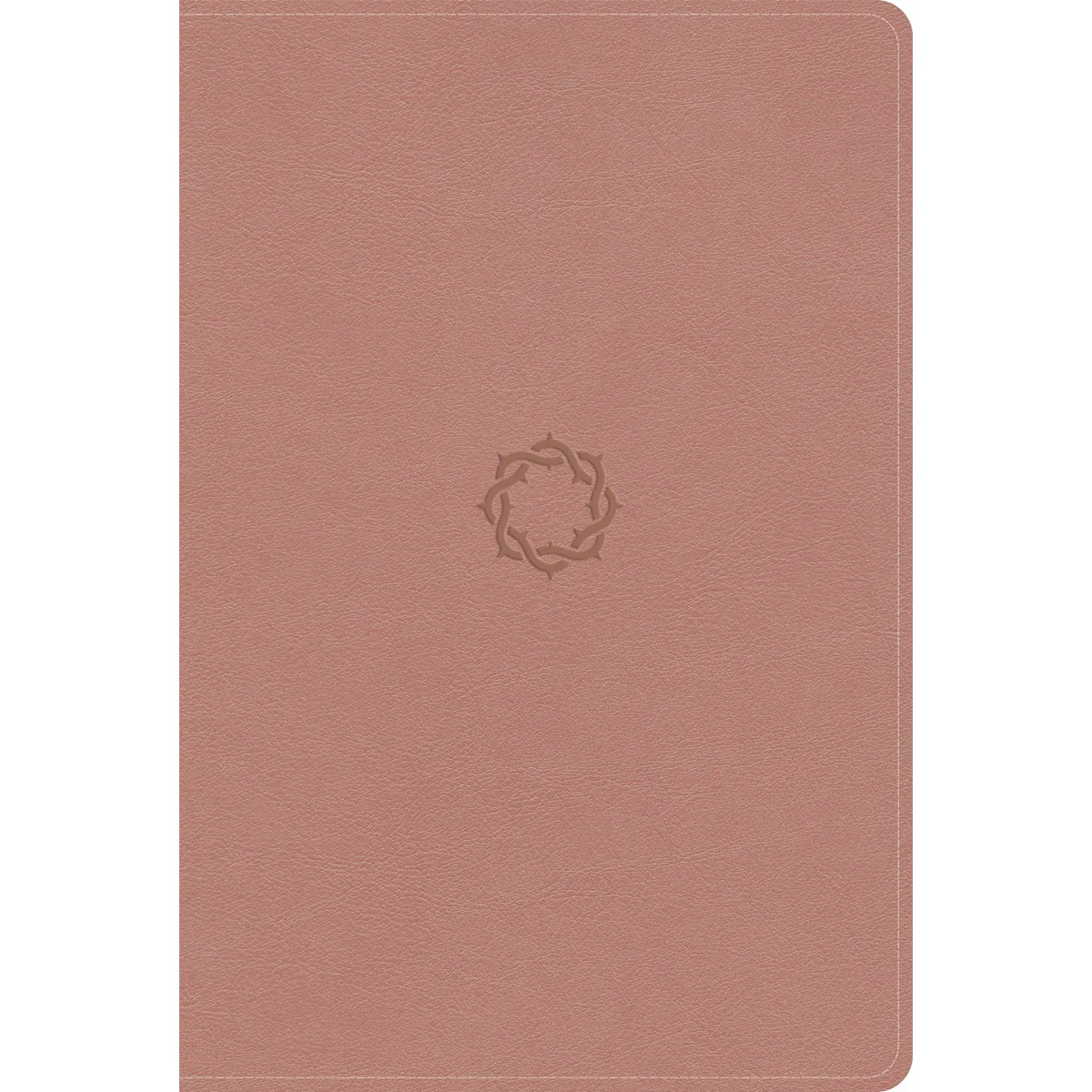 KJV Rose Gold Imitation Leather Essential Teen Study Bible