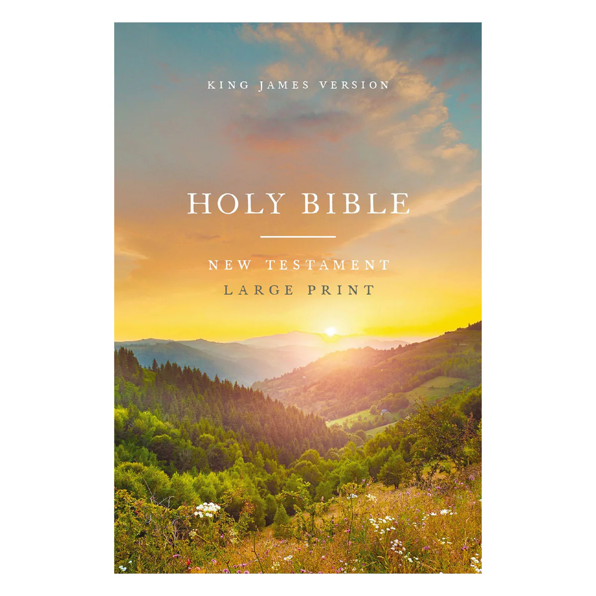 KJV Scenic Paperback Outreach New Testament Bible Large Comfort Print