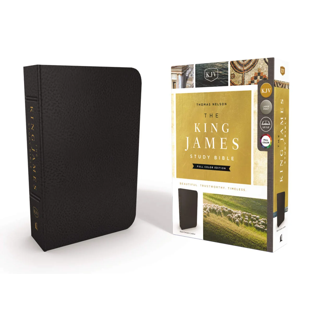KJV Study Bible Black (Genuine Leather) - Image 2