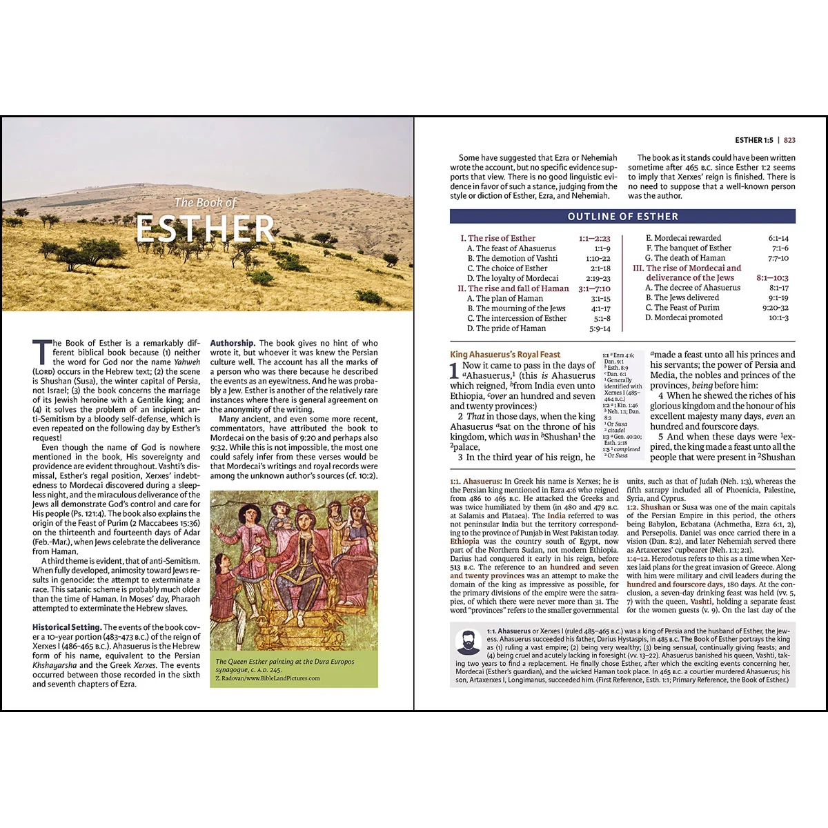 KJV Study Bible Black (Genuine Leather) - Image 3