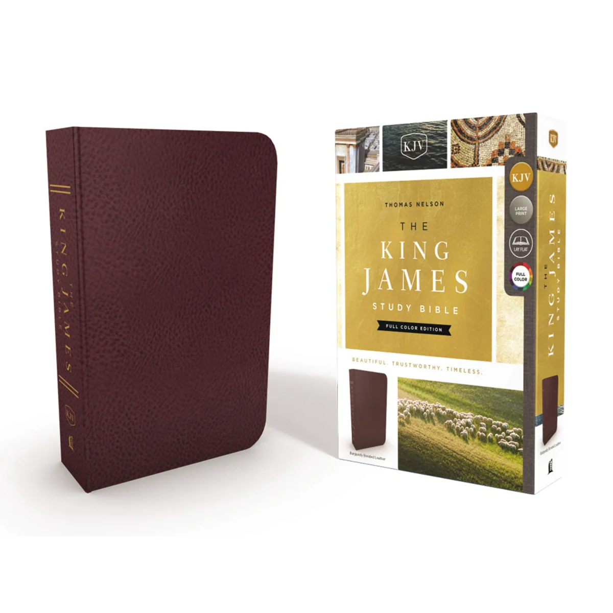 KJV Study Bible Burgundy (Bonded Leather) - Image 2