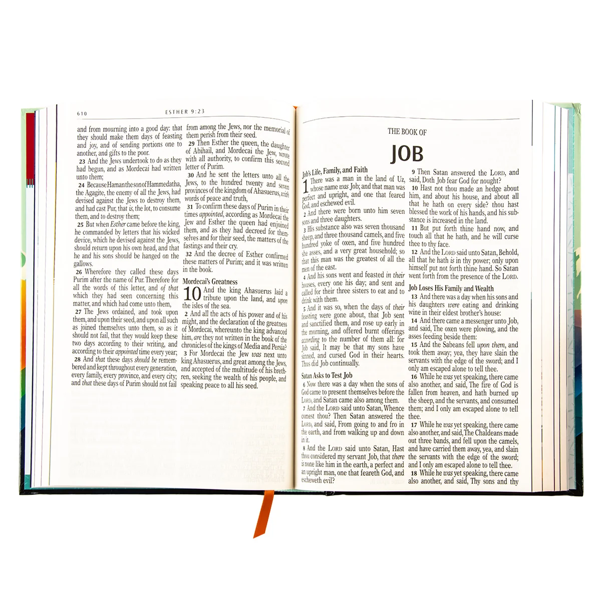 KJV Teal Mountains Hardcover Kids Bible Large Print - Image 5