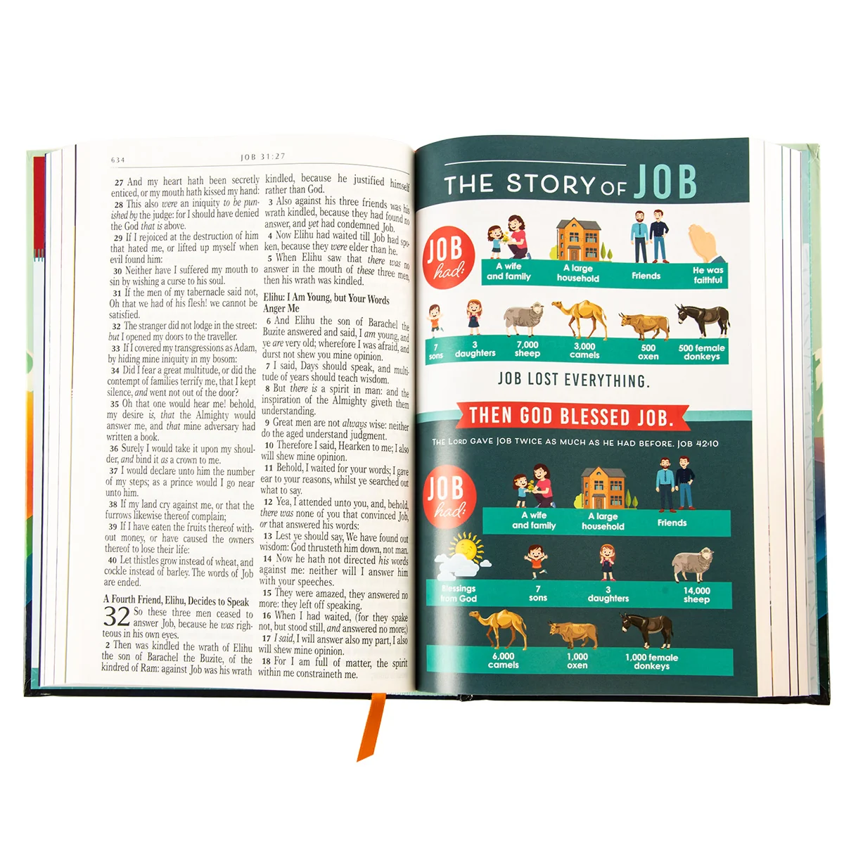 KJV Teal Mountains Hardcover Kids Bible Large Print - Image 6