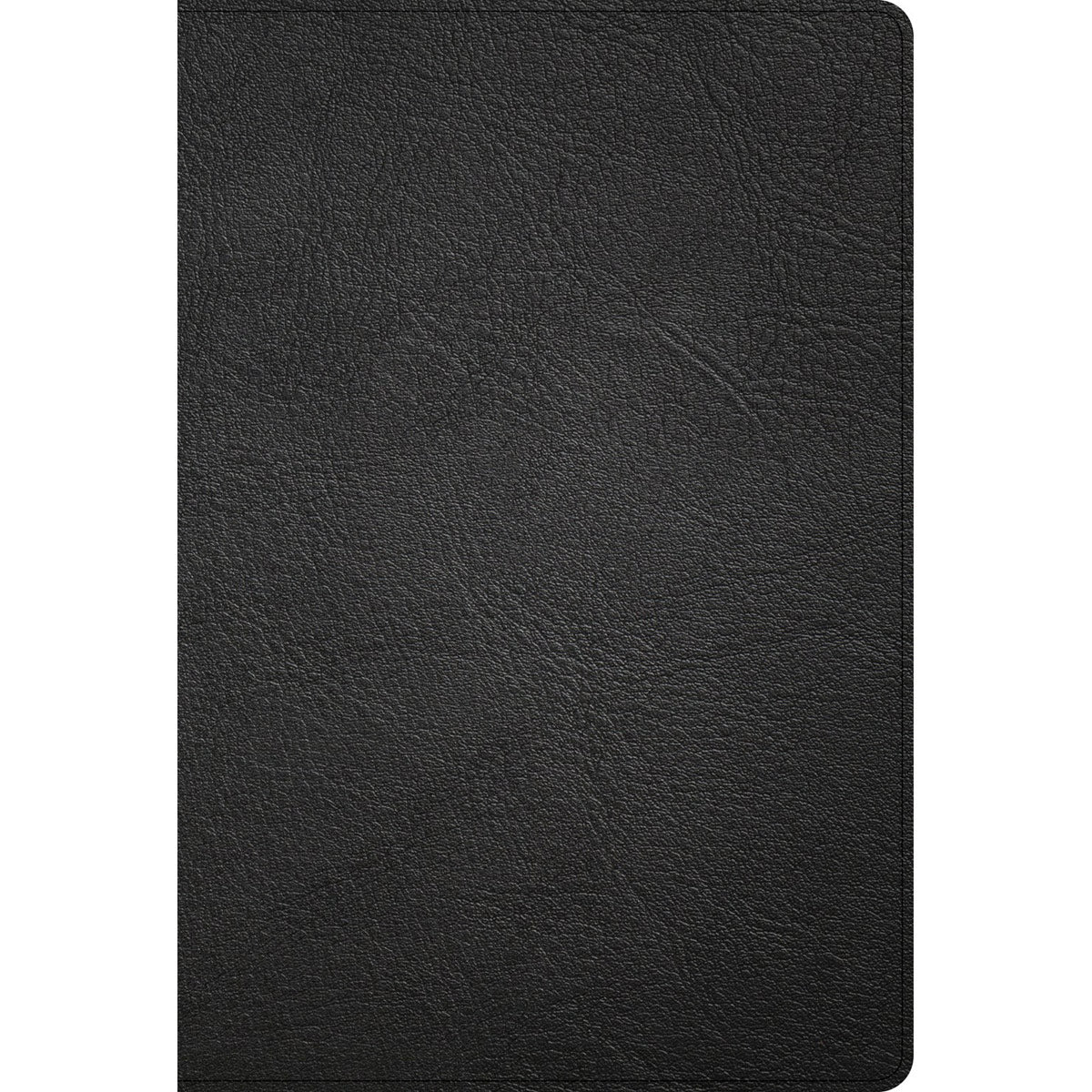 KJV Thinline Bible Large Print Black (Genuine Leather) - Image 2