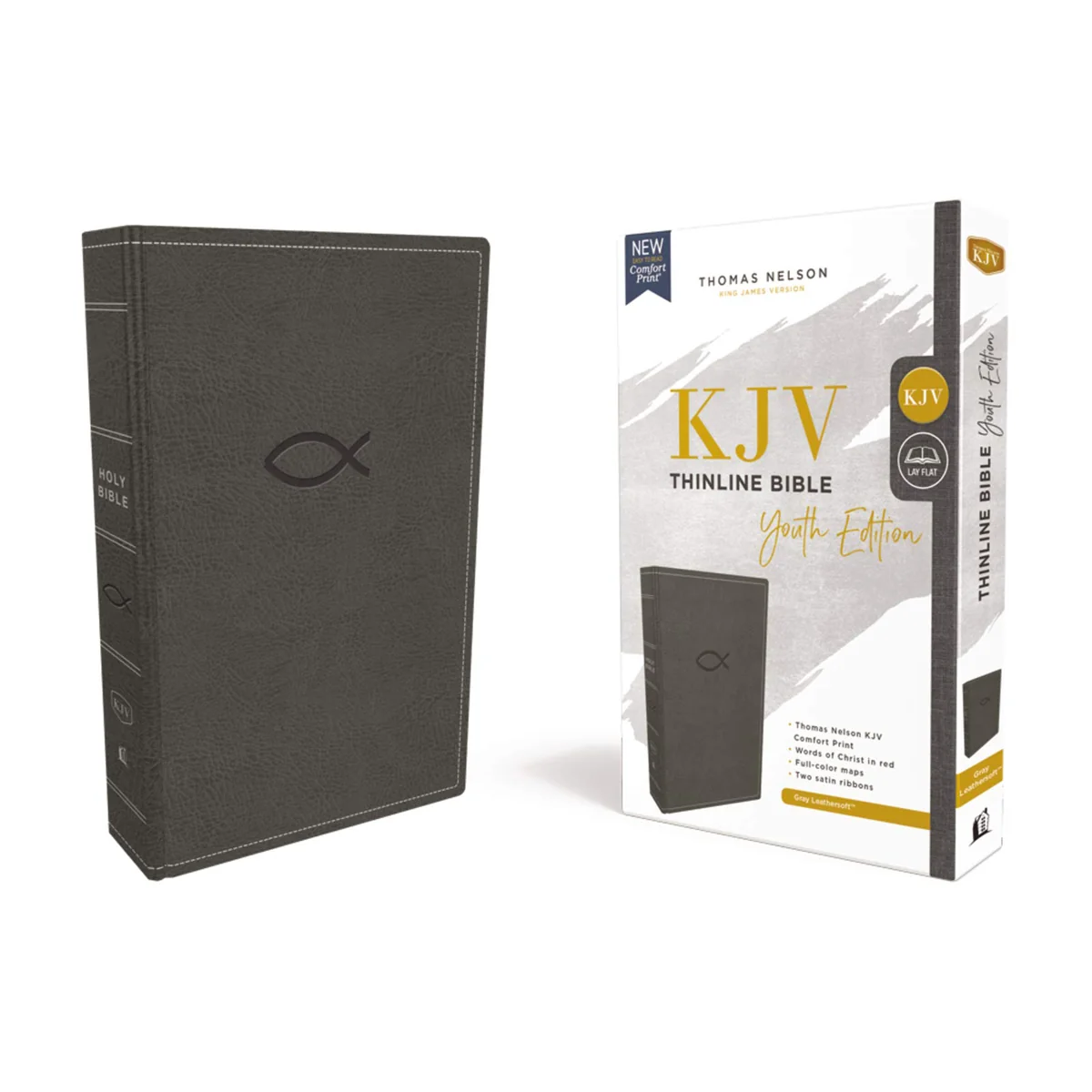 KJV Thinline Bible Youth Edition Red Letter Gray (Comfort Print)(Imitation Leather) - Image 3