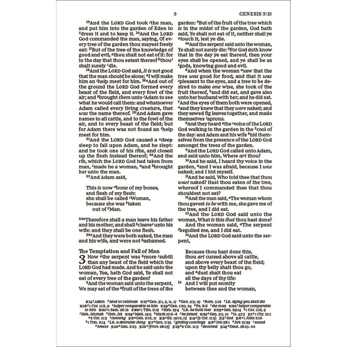 KJV Thinline Paragraph-Style Bib Red Letter Black (Comfort Print)(IM) - Image 5