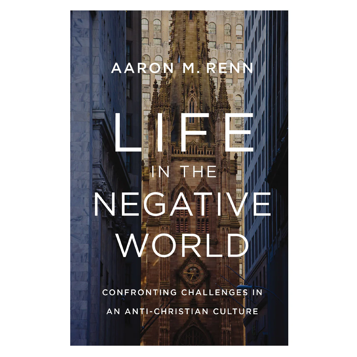 Life in the Negative World: Confronting Challenges in an Anti-Christian Culture HC