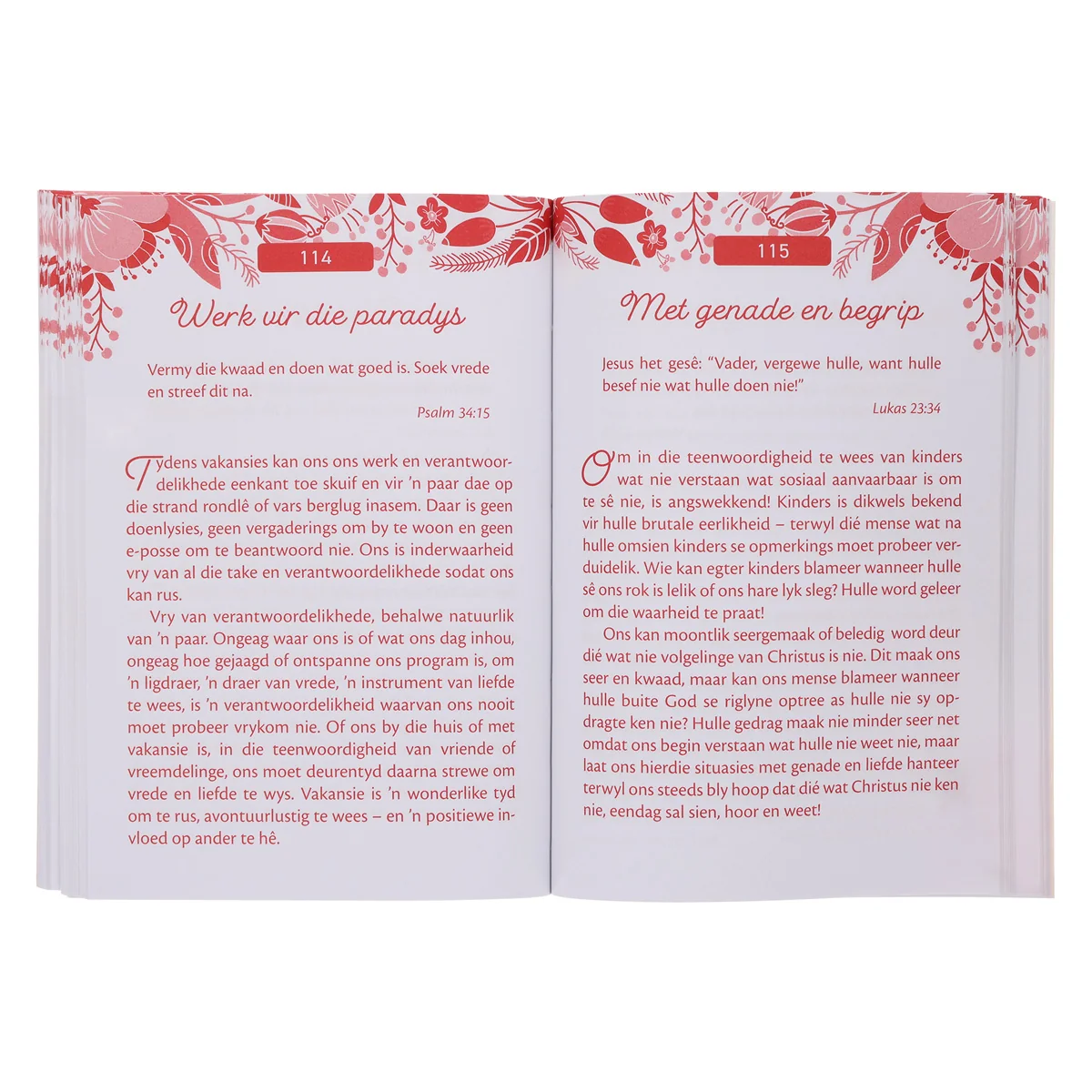 Mini-Oordenkings vir Jong Vroue (Sagteband) - Image 7