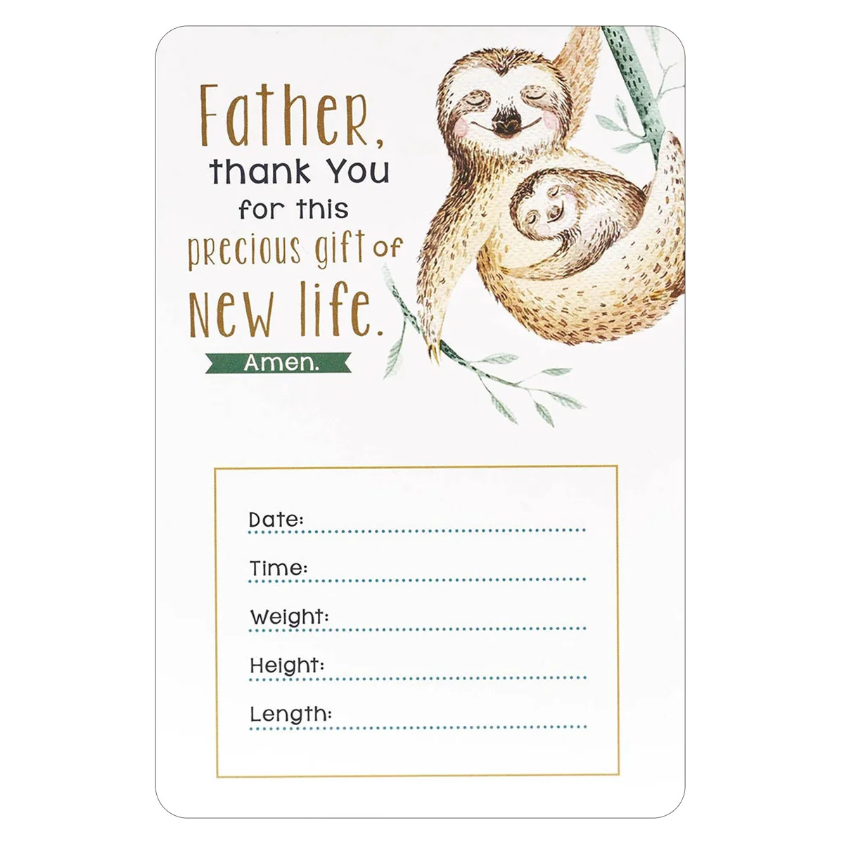 My Baby Boy's Milestones (Boxed Cards) - Image 4