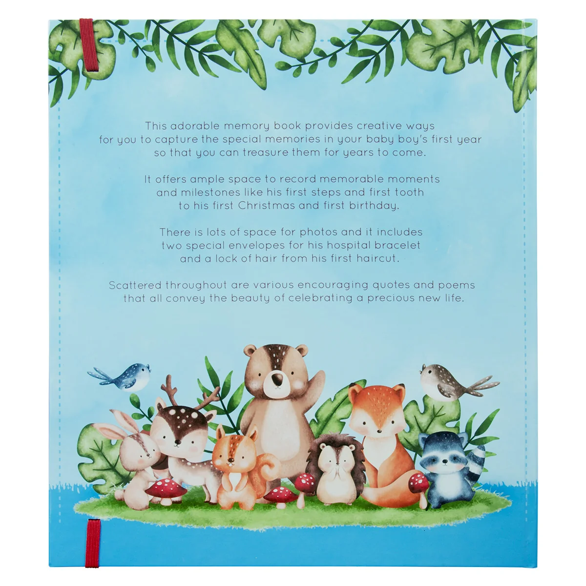 My First Year: A Memory Book For Baby Boys (Hardcover) - Image 2