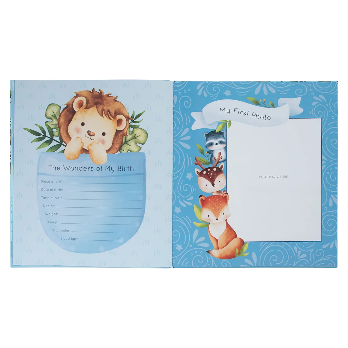 My First Year: A Memory Book For Baby Boys (Hardcover) - Image 5