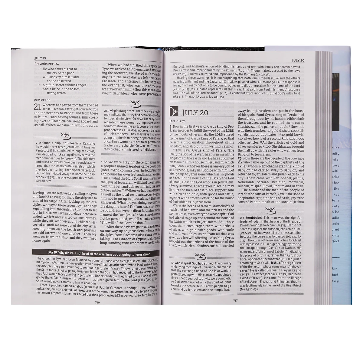 NASB MacArthur Daily Bible 2nd Edition (Comfort Print)(Hardcover) - Image 5