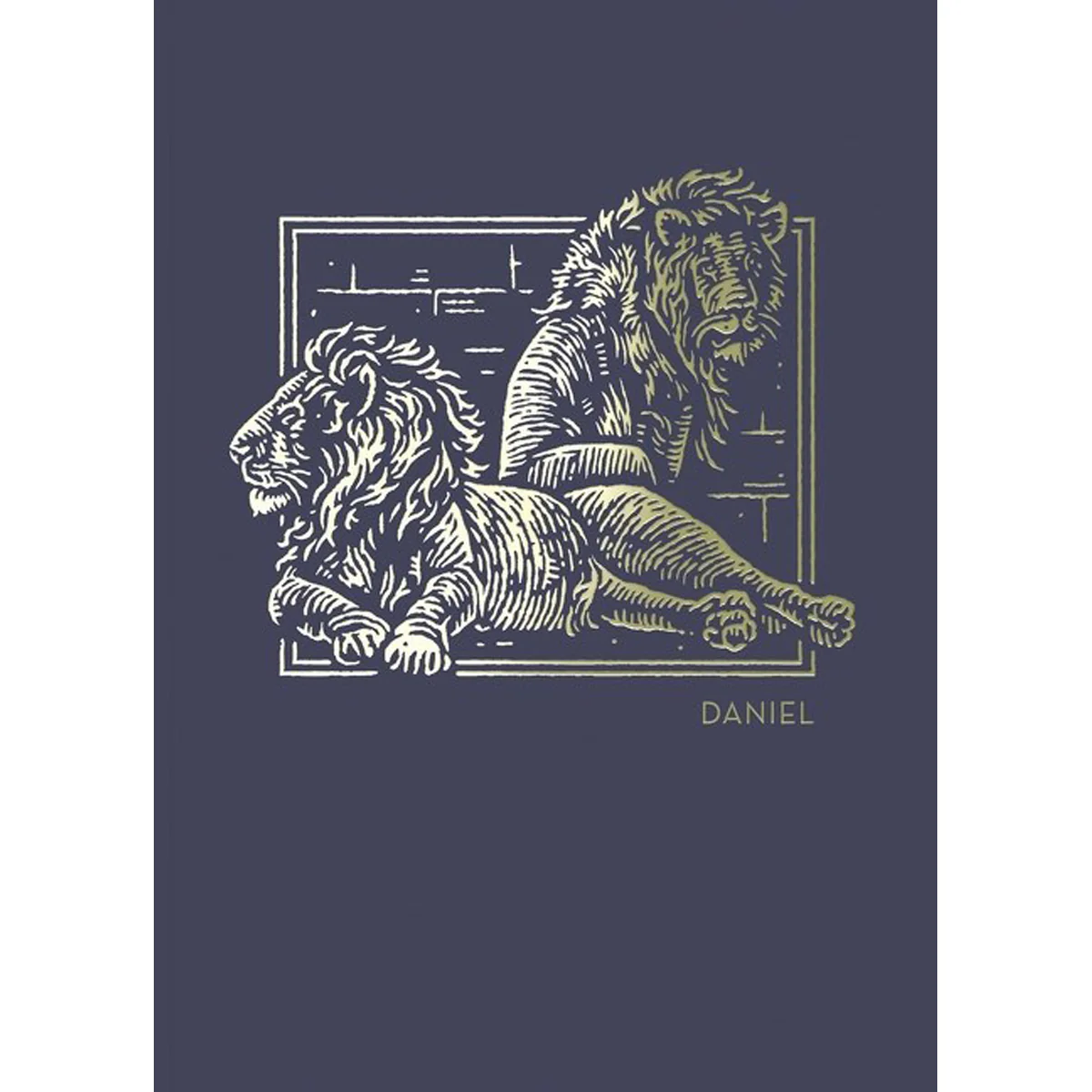 NET Abide Bible Journal Daniel (Comfort Print)(Paperback)