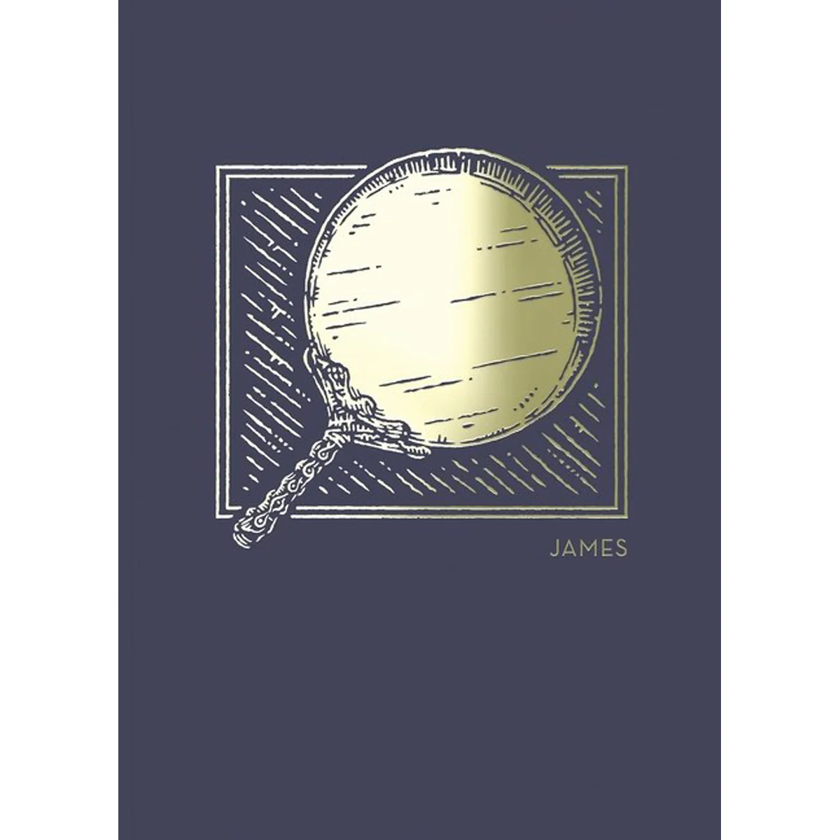 NET Abide Bible Journal James (Comfort Print)(Paperback)