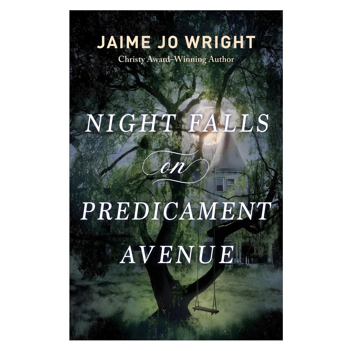 Night Falls on Predicament Avenue (Paperback)