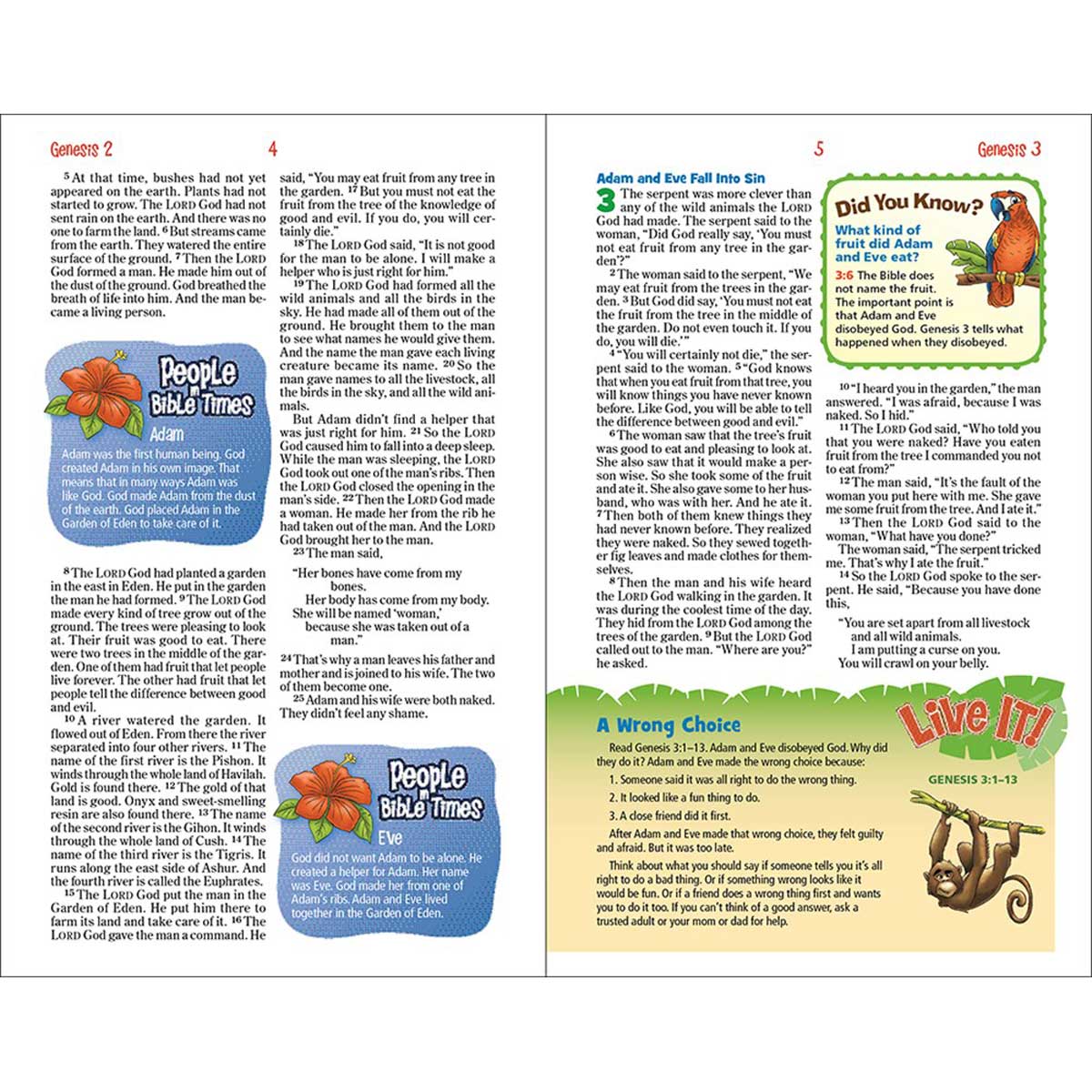 NIRV Adventure Bible For Early Readers Coral (Imitation Leather) - Image 5