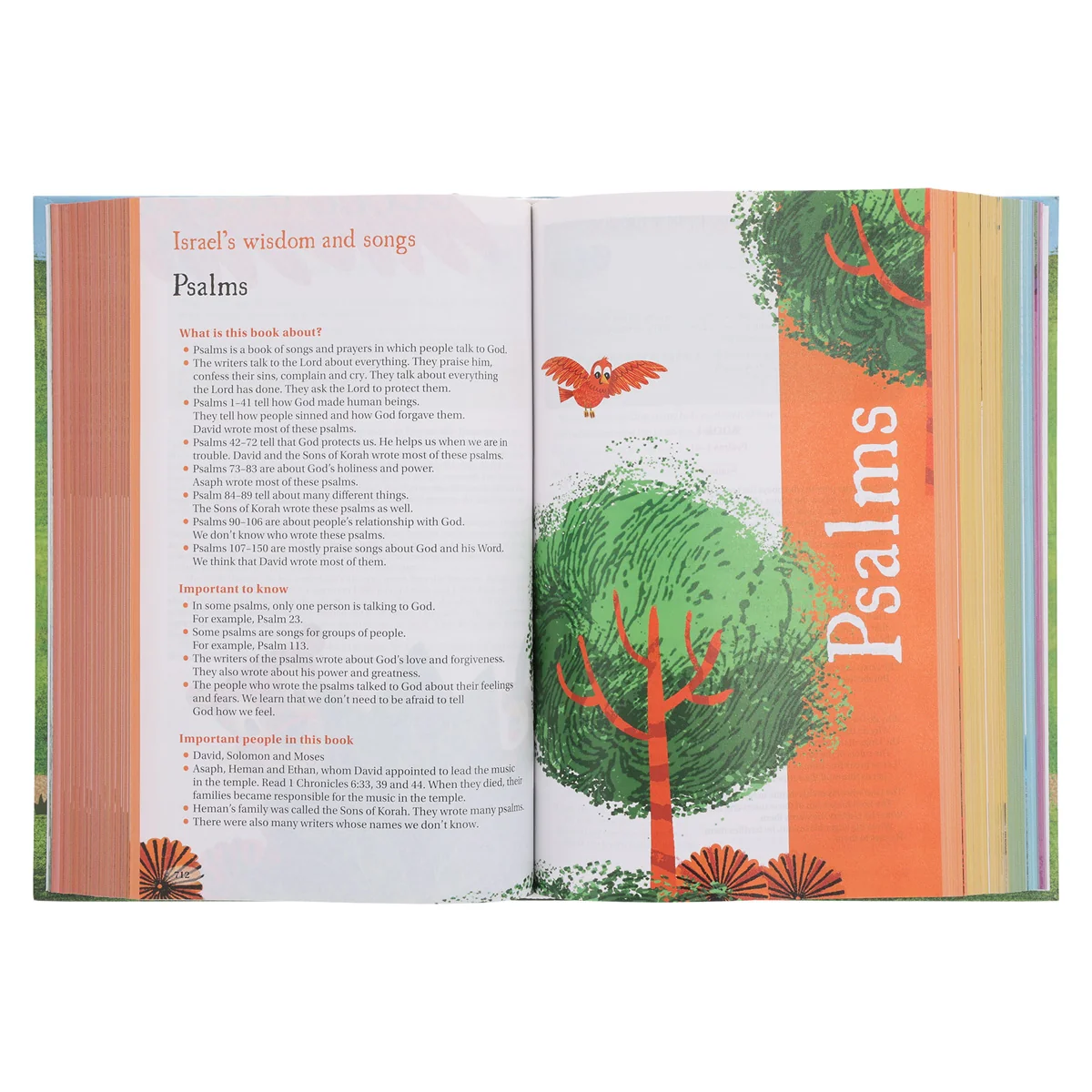 NIRV Hardcover Seek and Explore Holy Bible - Image 5