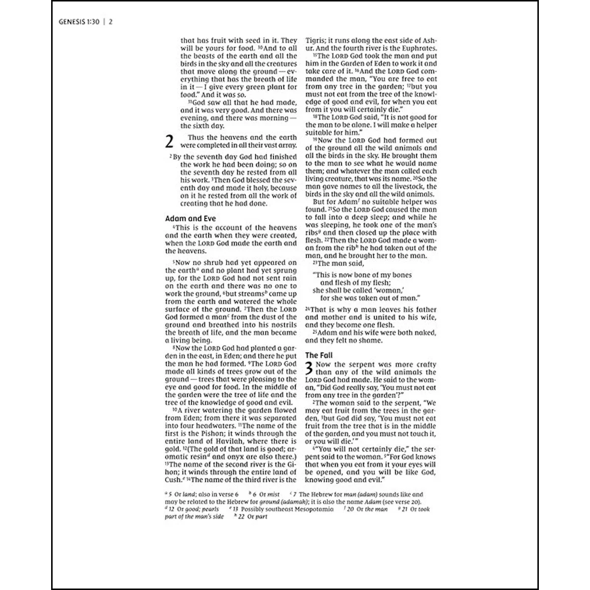 NIV Artisan Collection Red Letter Floral Bible Blue (Comfort Print)(Imitation Leather) - Image 6