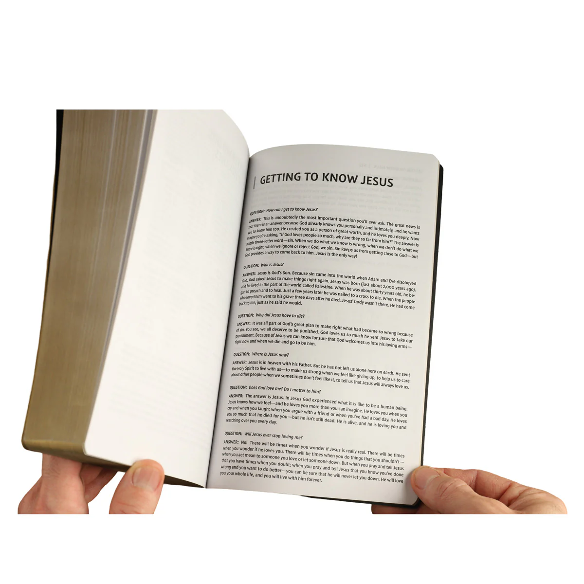 NIV Brown Faux Leather Holy Bible Soft Touch Edition Bible Comfort Print - Image 3