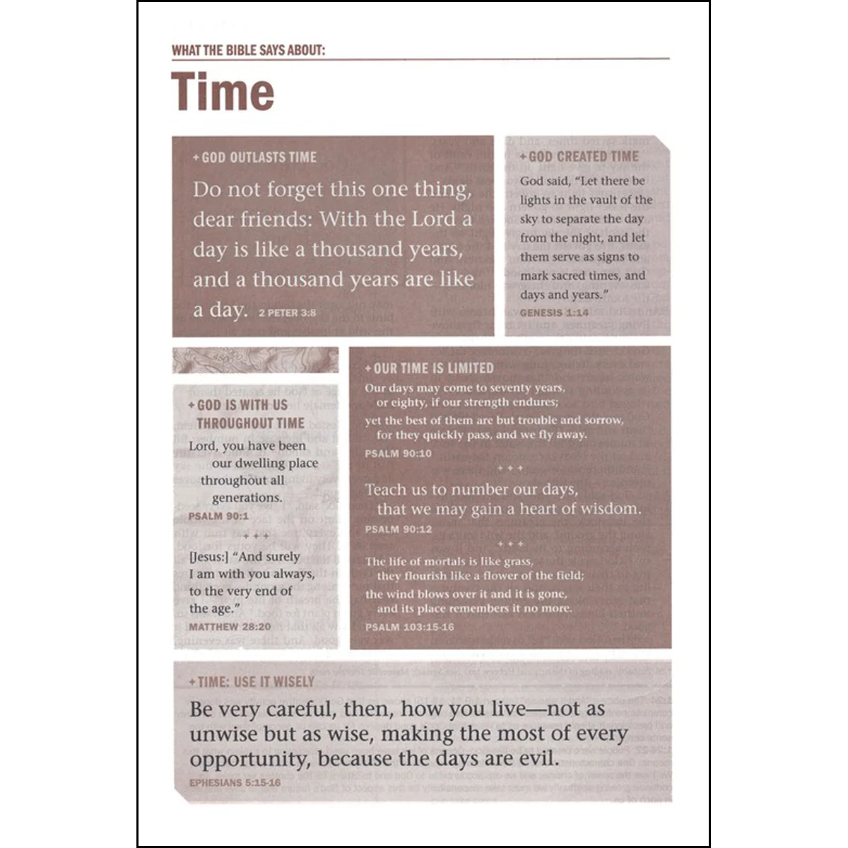 NIV Every Man's Bible Large Print Black / Tan (Imitation Leather) - Image 3