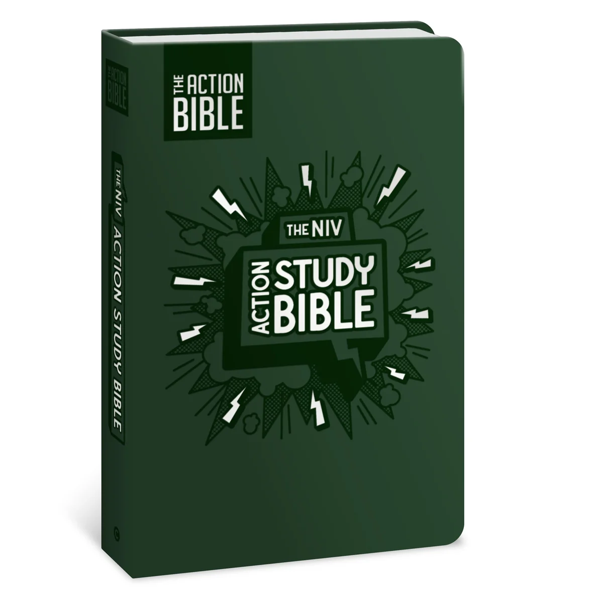 NIV Forest Imitation Leather Action Study Bible - Image 3