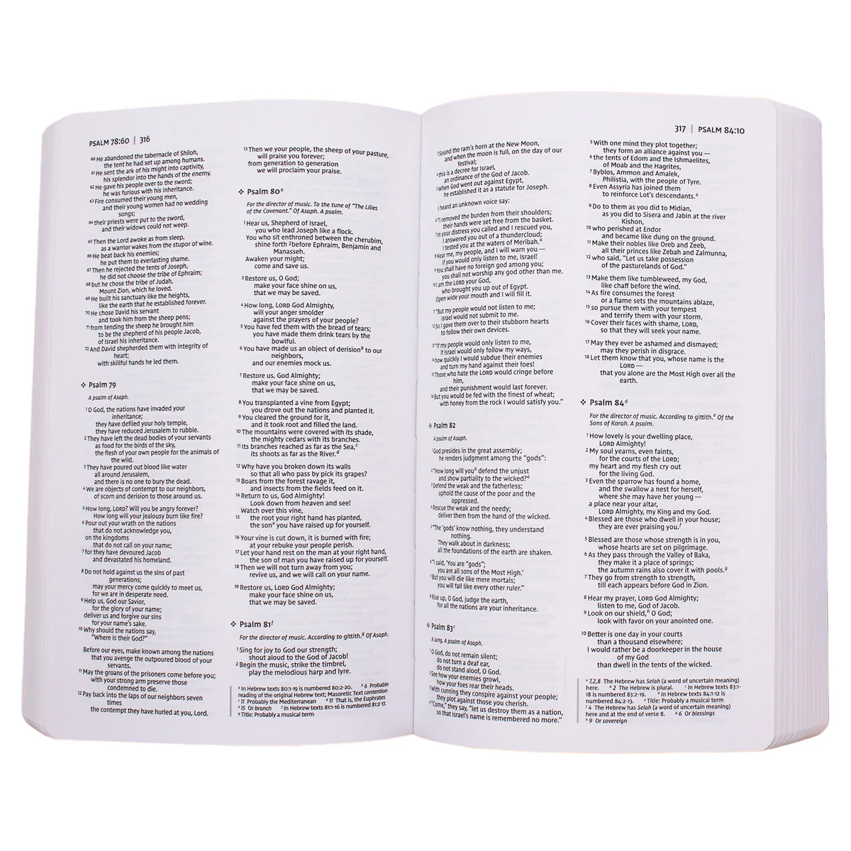 NIV Holy Bible For Boys Comfort Print Gray (Imitation Leather) - Image 3