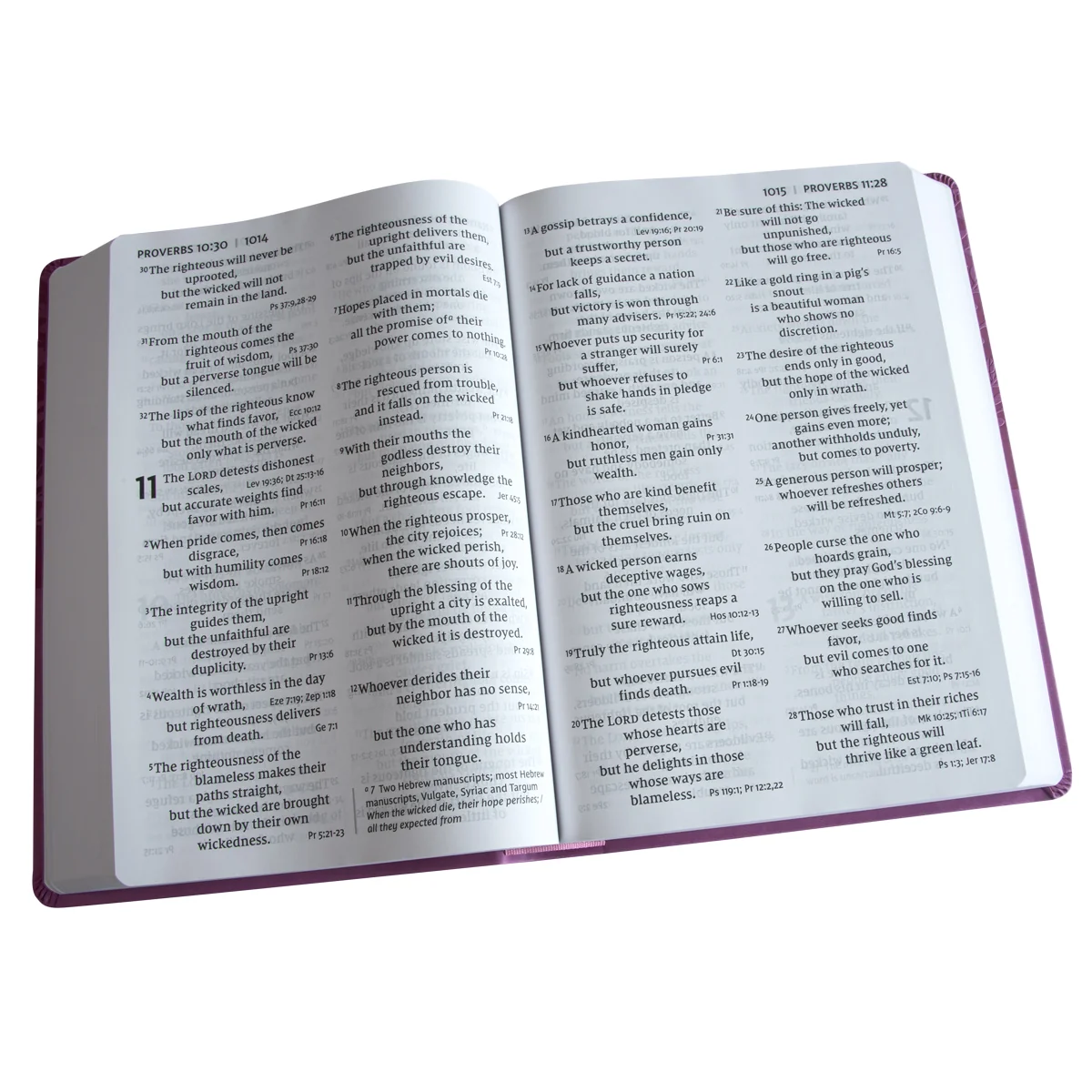 NIV Reference Bible Red Letter Super Giant Print Pink (Imitation Leather) - Image 6