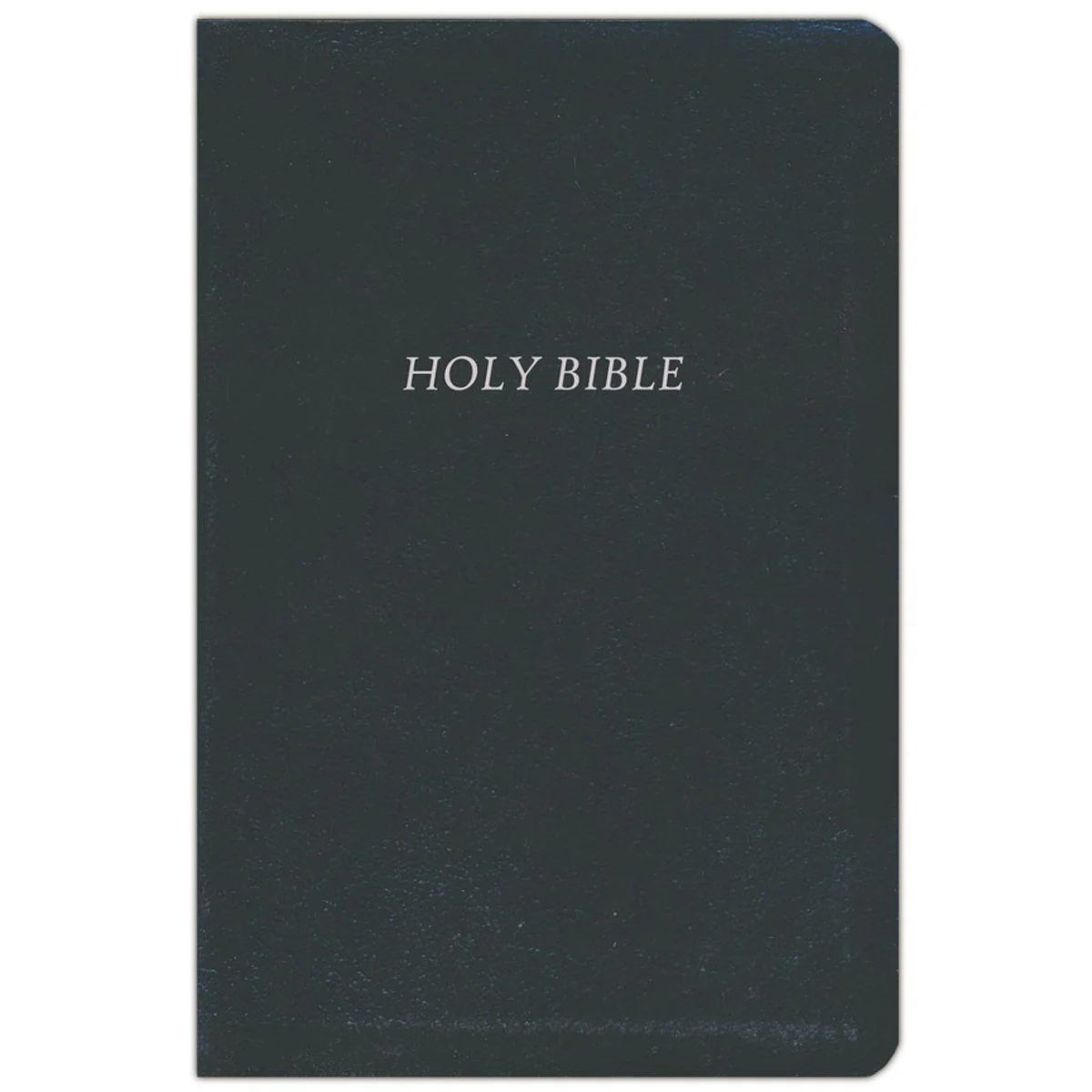 NIV Reference Giant Print Leather Look Red Letter Black (Comfort Print)(Imitation Leather)