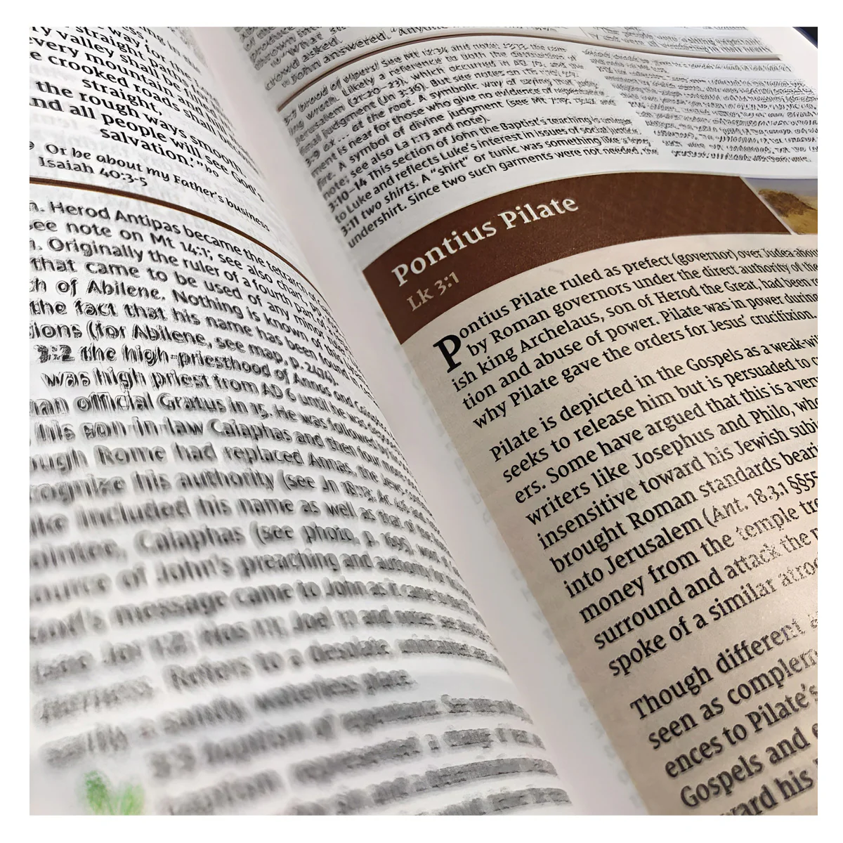 NIV Study Bible, Fully Revised Edition, Large Print, Red Letter (Comfort Print)(Hardcover) - Image 2