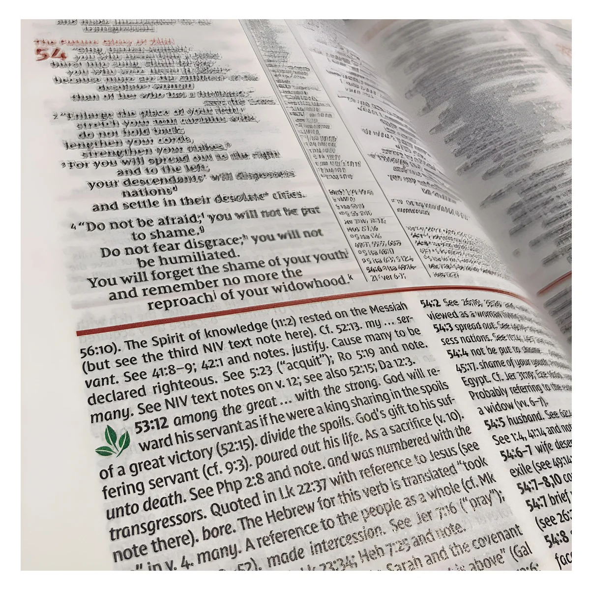 NIV Study Bible, Fully Revised Edition, Large Print, Red Letter (Comfort Print)(Hardcover) - Image 3