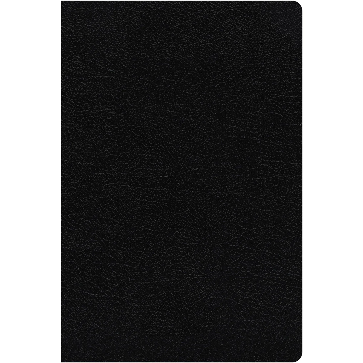 NIV Study Bible Revised Edition Red Letter Black (Comfort Print)(Bonded Leather)
