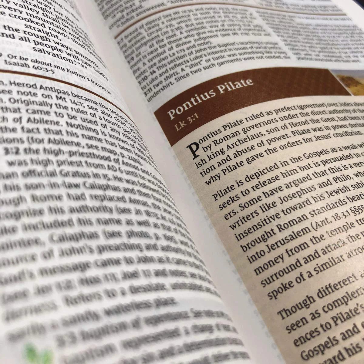 NIV Study Bible Revised Edition Red Letter (Comfort Print)(Hardcover) - Image 3