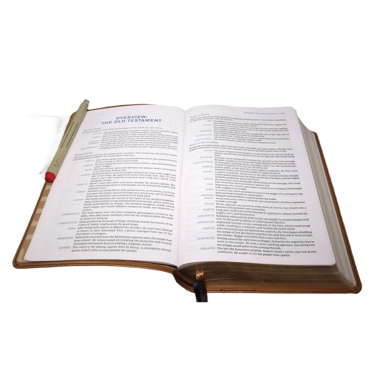 NIV Tan Imitation Leather Personal Size Student Bible Comfort Print - Image 4