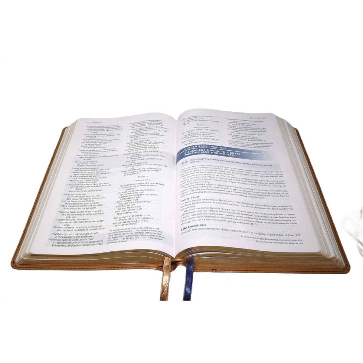 NIV Tan Imitation Leather Personal Size Student Bible Comfort Print - Image 5