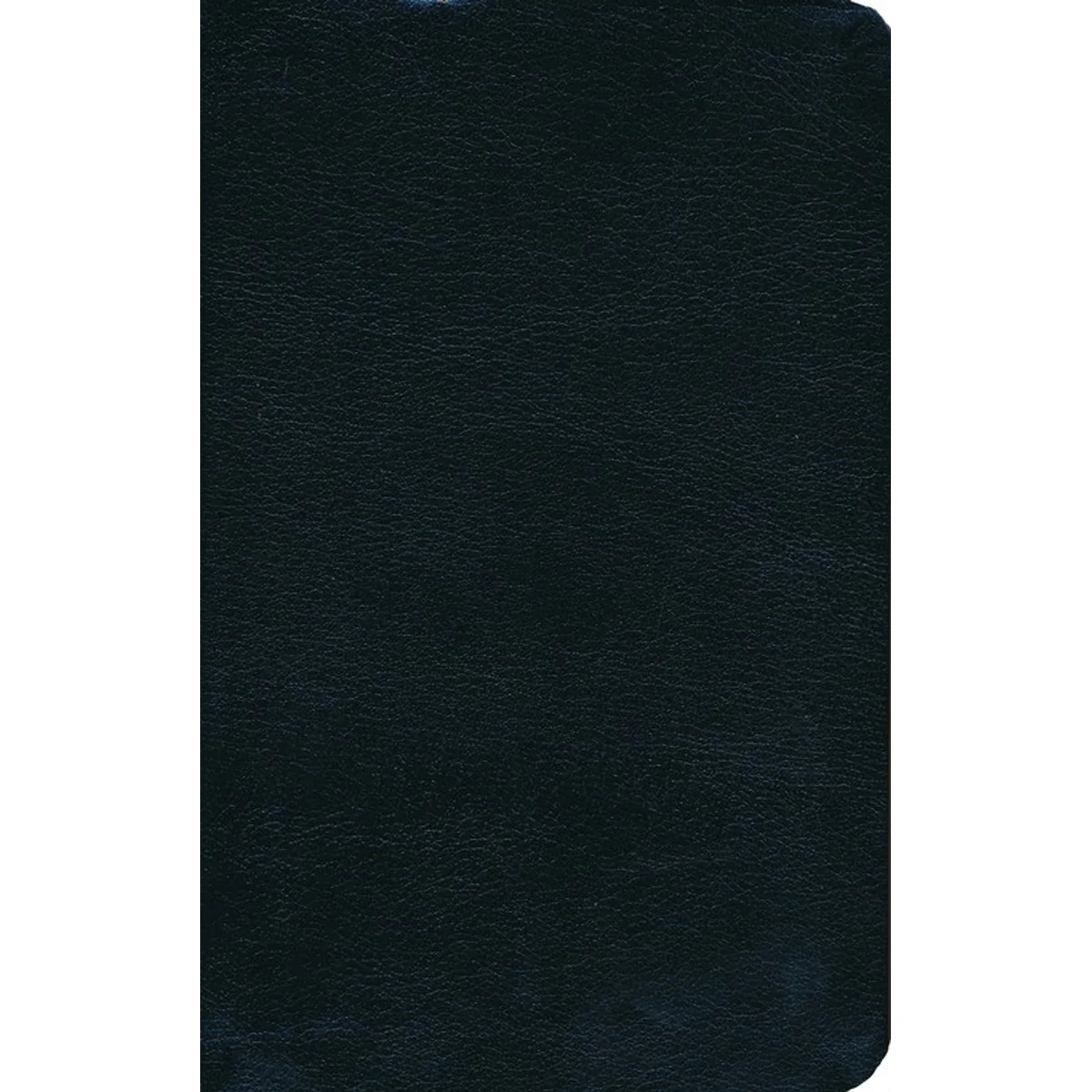 NIV Thinline Bible Black Red Letter Edition (Comfort Print)(Bonded Leather) - Image 3