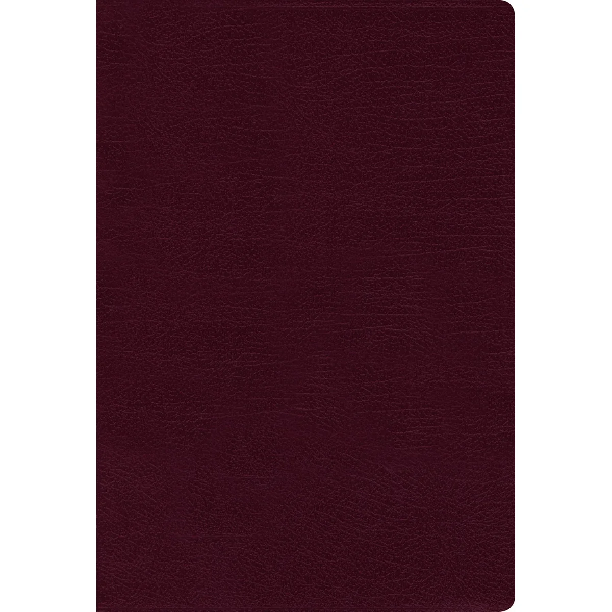 NIV Thinline Bible Burgundy Red Letter Edition (Comfort Print)(Bonded Leather) - Image 2