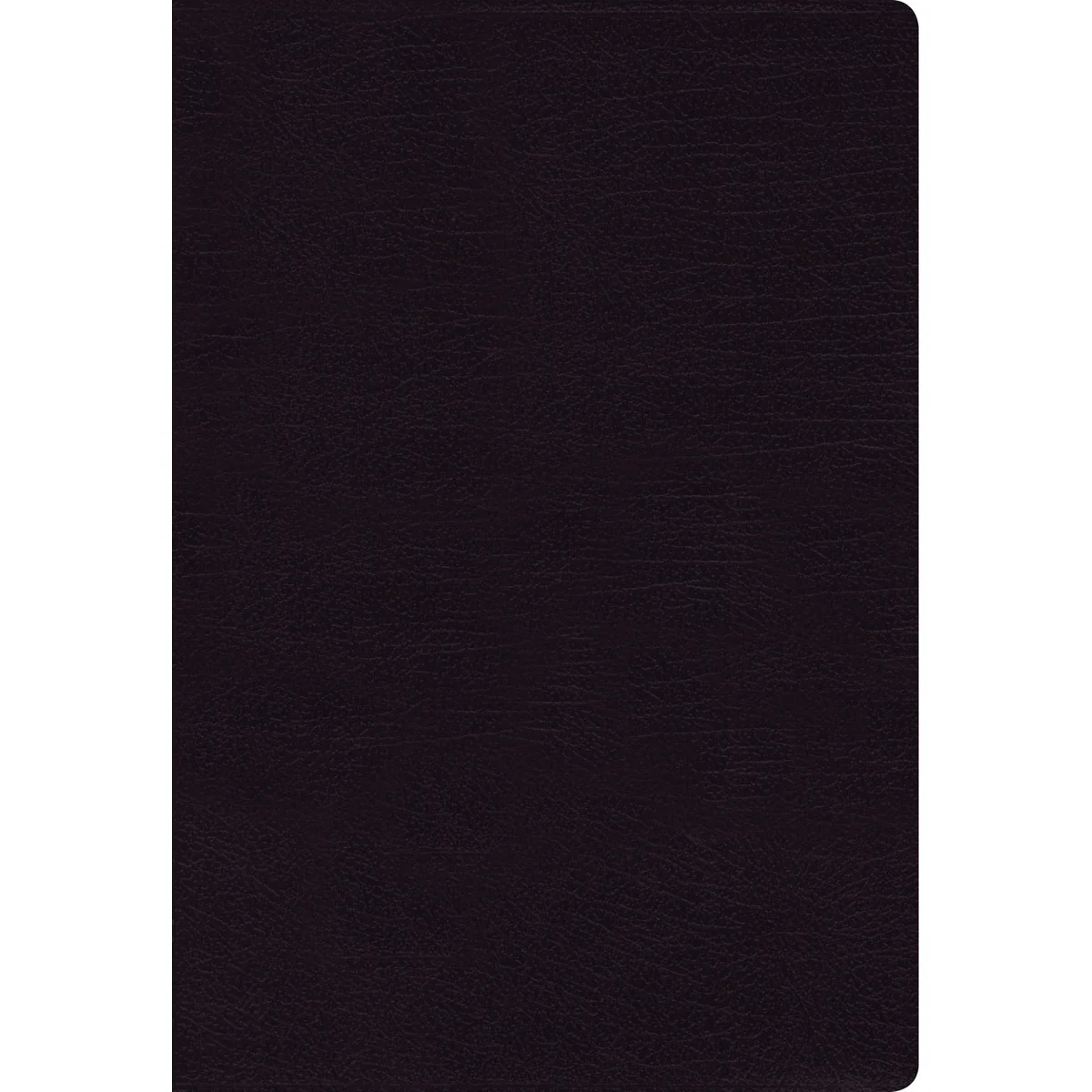 NIV Thinline Bible Giant Print Black Indexed Red Letter Edition (Comfort Print)(Bonded Leather)