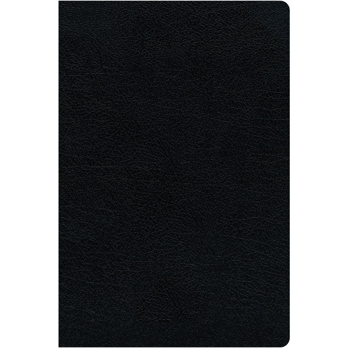 NIV Thinline Reference Red Letter Black (Comfort Print)(Bonded Leather) - Image 2