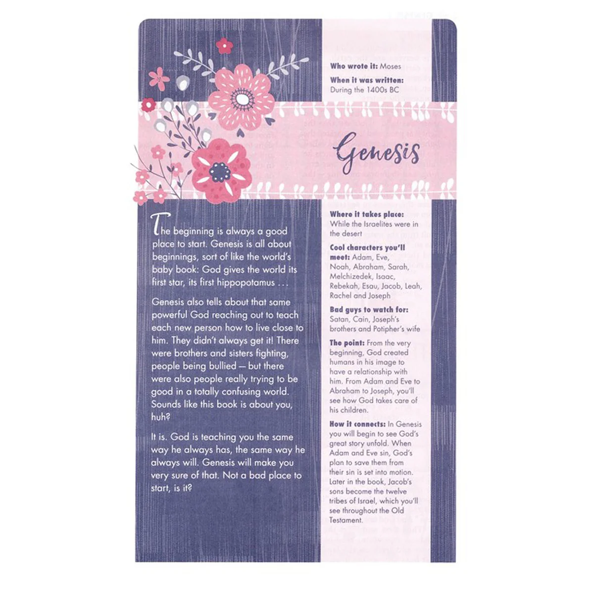 NIV Ultimate Bible For Girls (Hardcover) - Image 3