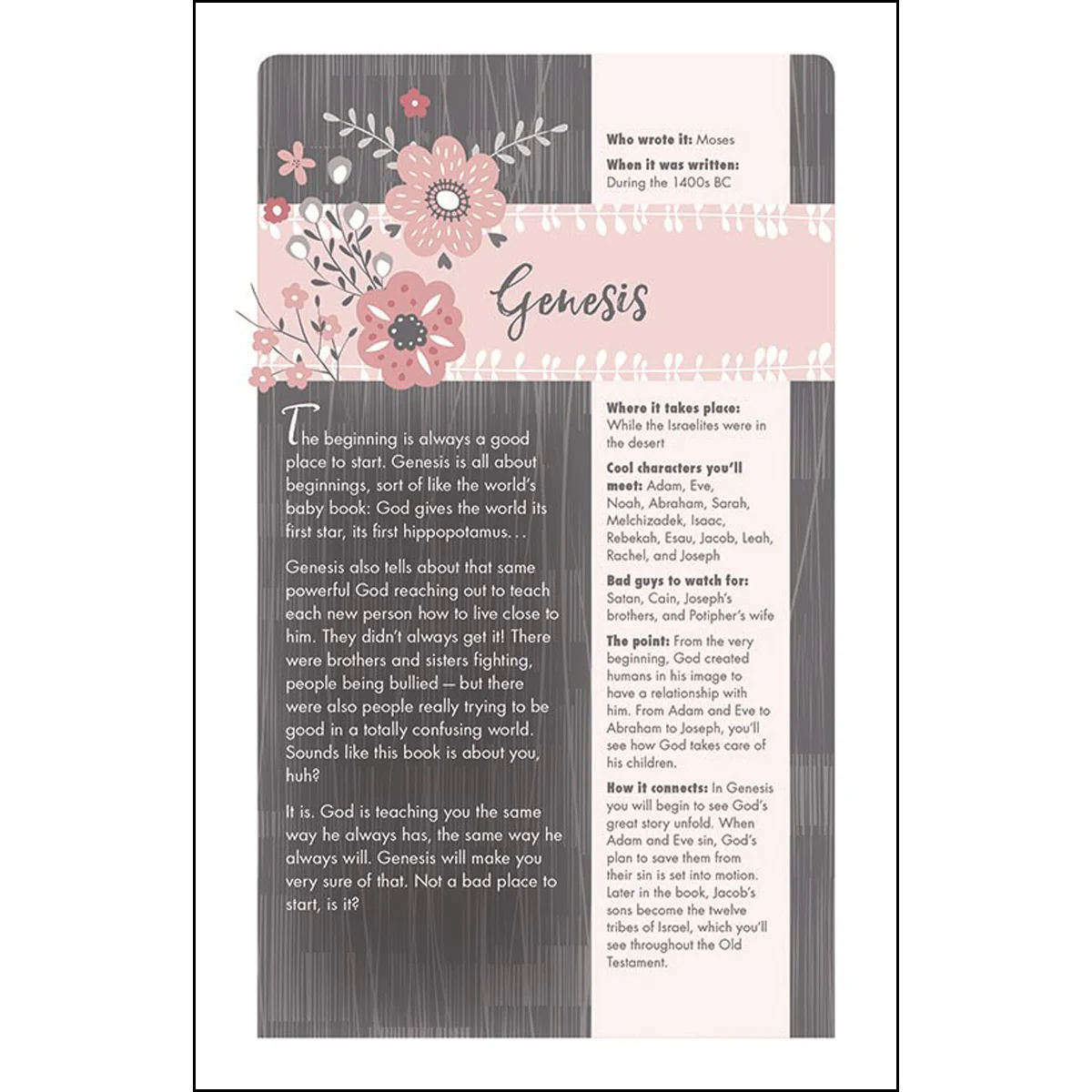 NIV Ultimate Bible For Girls (Hardcover) - Image 4