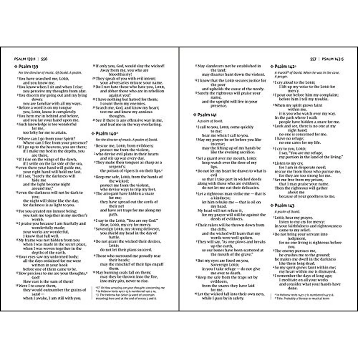 NIV Value Thinline Bible Large Print Gray / Black(Comfort Print)(Imitation Leather - Image 5