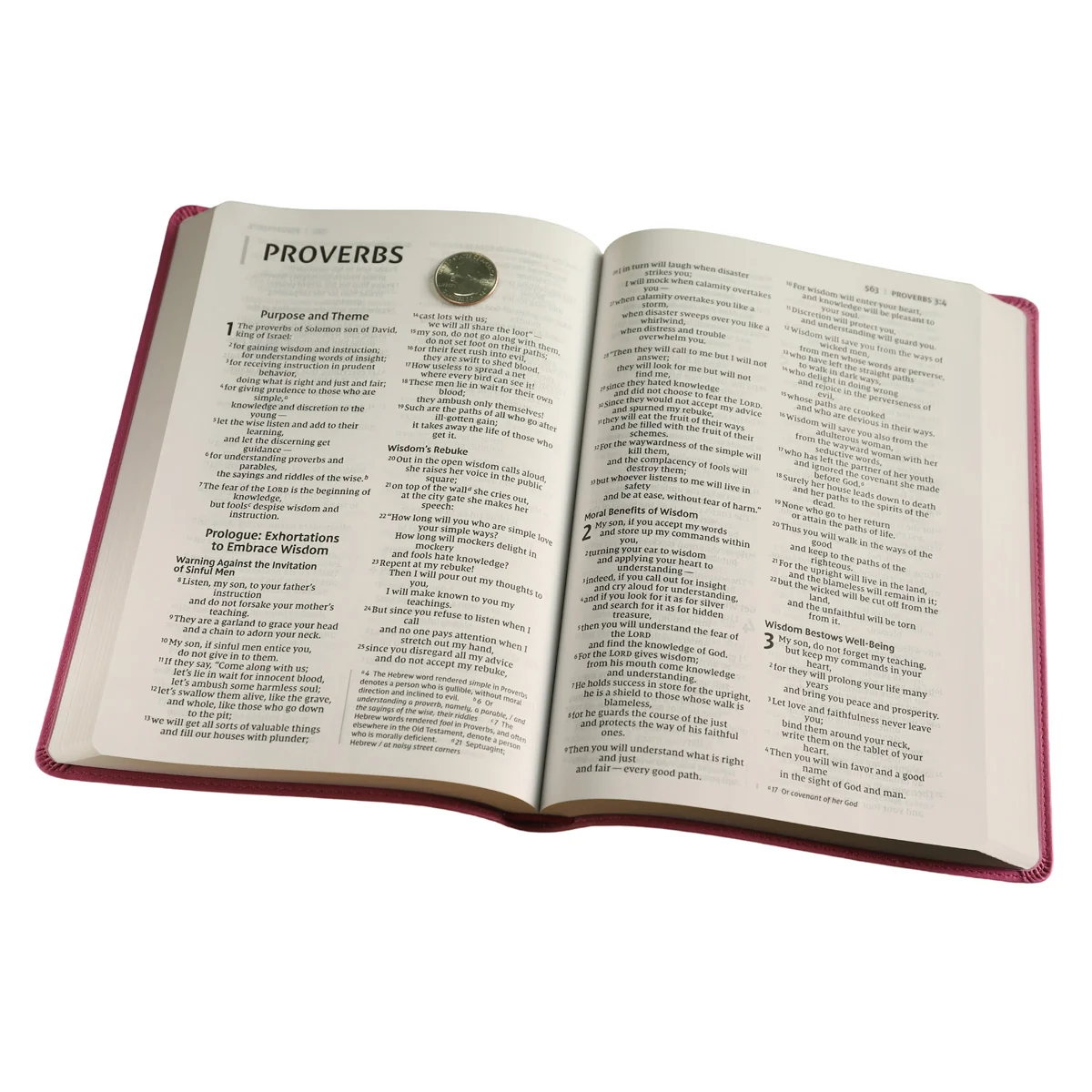 NIV Value Thinline Bible Large Print Pink (Comfort Print)(Imitation Leather) - Image 6