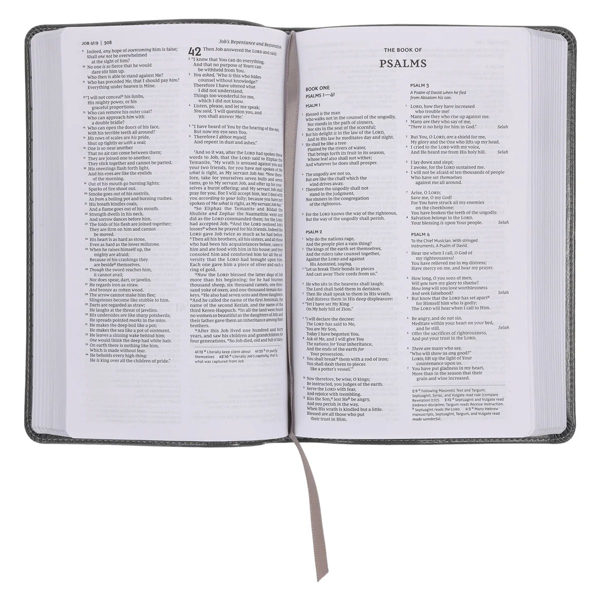 NKJV Deluxe Gift Bible Red Letter Gray (Comfort Print)(Imitation Leather) - Image 5