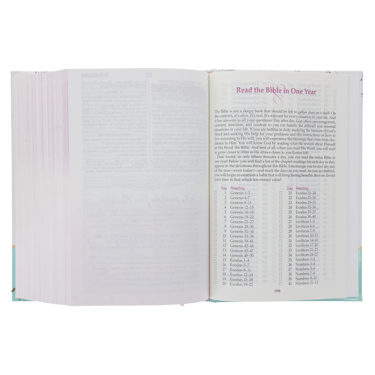 NKJV Hardcover A Woman After God's Own Heart Devotional Bible - Image 6
