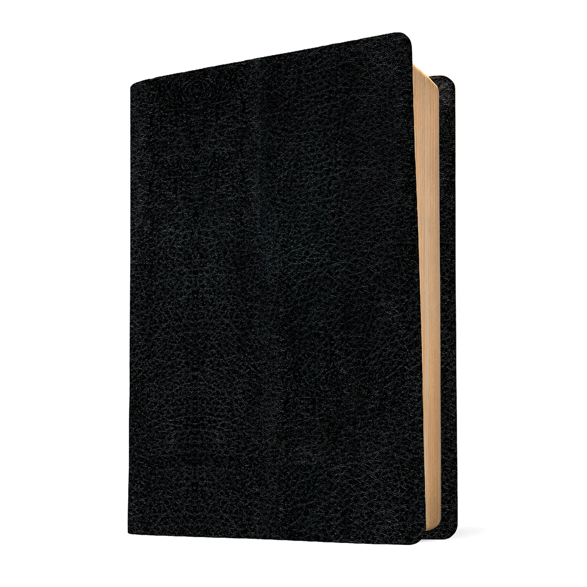 NKJV Life Application Study Bible Third Edition, Large Print, Red Letter, Black (Immitation Leather)