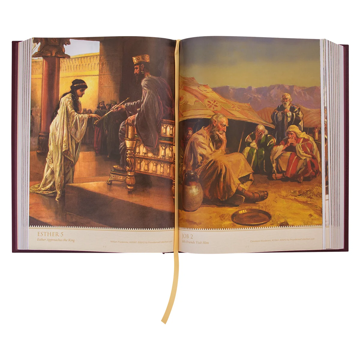 NKJV Providence Collection Family Bible Red Letter (Hardcover) - Image 5