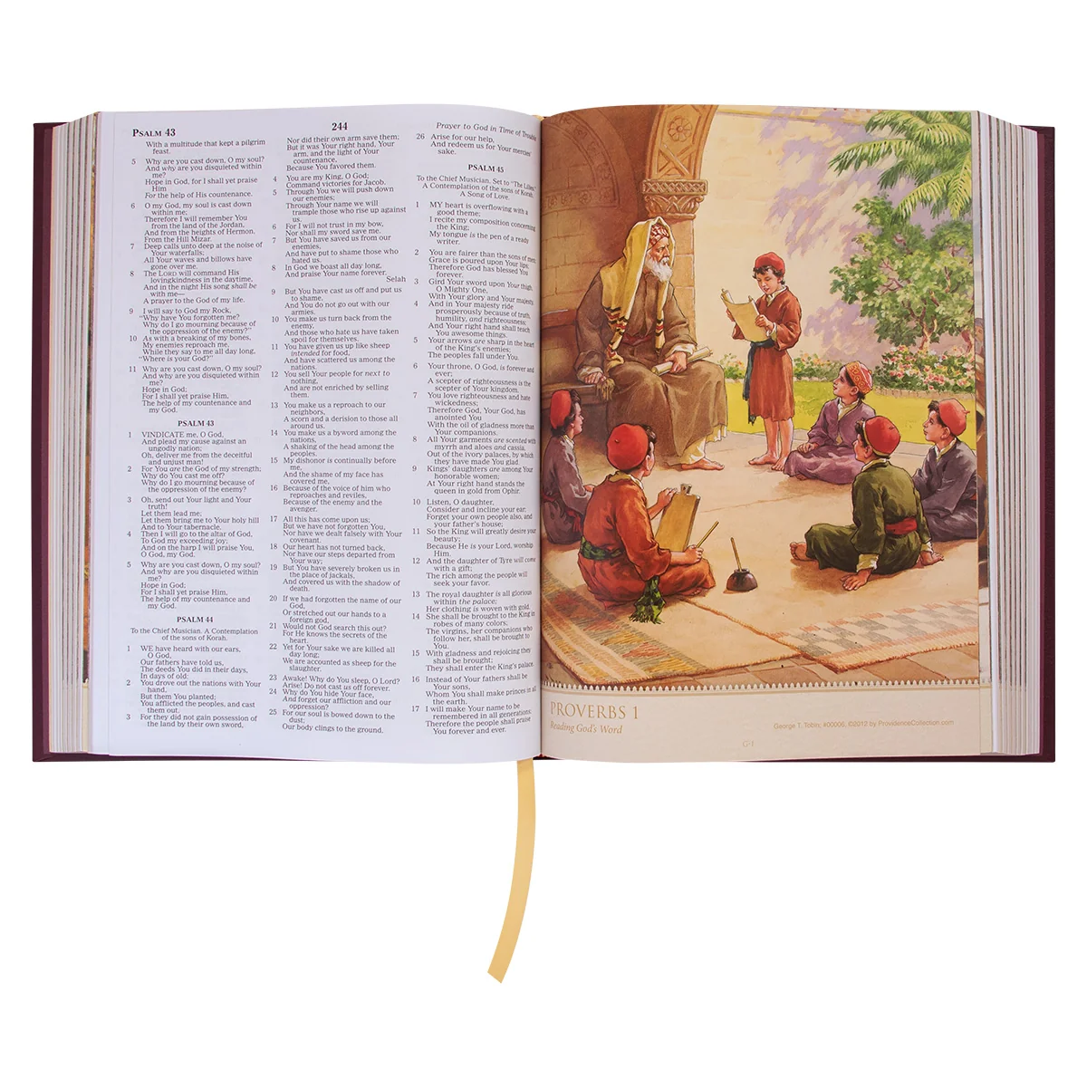 NKJV Providence Collection Family Bible Red Letter (Hardcover) - Image 6