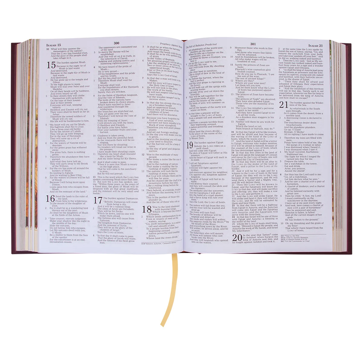 NKJV Providence Collection Family Bible Red Letter (Hardcover) - Image 7